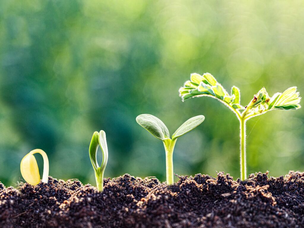 When to scale your marketing agency